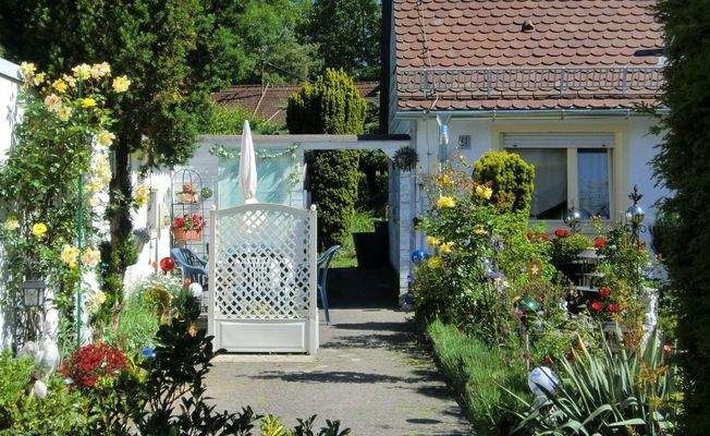 Garten vor dem Haus