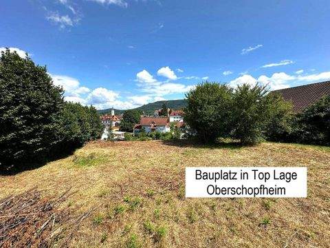 Friesenheim Grundstücke, Friesenheim Grundstück kaufen