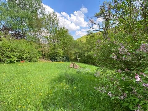 Altensteig / Walddorf Grundstücke, Altensteig / Walddorf Grundstück kaufen