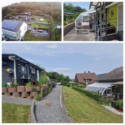 wunderschönes Gartengrundstück.jpg