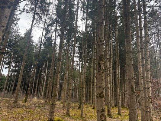 2026-02-12 14.20.59.jpg