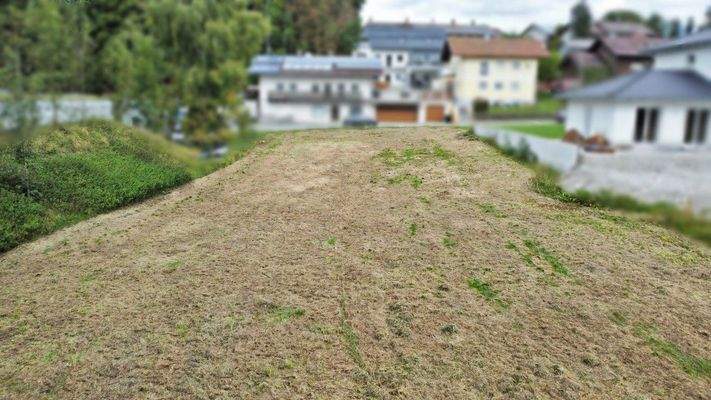 Luftbild Grundstück (4).JPG