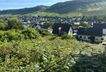 IMG_2227.jpeg