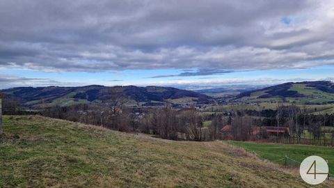 Texingtal Bauernhöfe, Landwirtschaft, Texingtal Forstwirtschaft