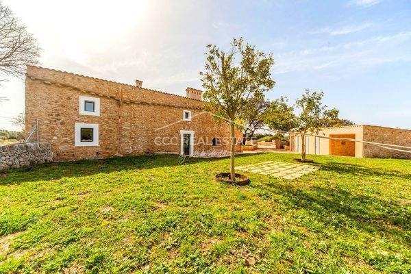 Gartenbereich mit Terrasse