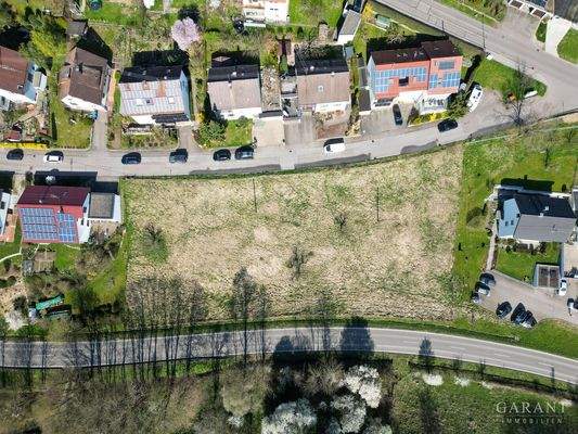 dji fly 20250405 104714 752 1743843077821 photo