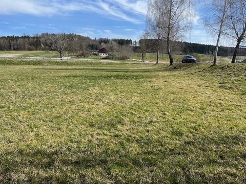 Mindelheim Bauernhöfe, Landwirtschaft, Mindelheim Forstwirtschaft