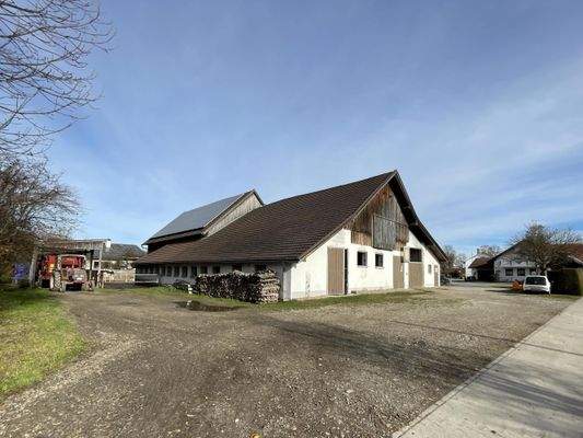 Kuhstallung von 1991