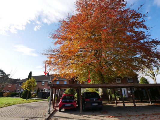 Außen - Carportstellplatz nah am Haus