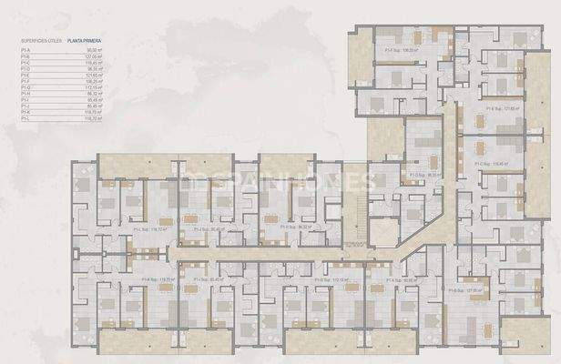 Modern Flats Close to Amenities in Torre-Pacheco