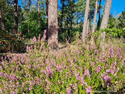 Mellensee Grundstücke, Mellensee Grundstück kaufen