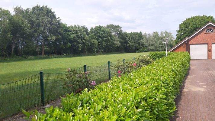 Hier kann man heimisch werden!