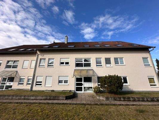 WhatsApp Image 2026-02-24 at 13.16.26 (1).jpeg