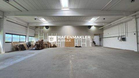 Hamburg Halle, Hamburg Hallenfläche