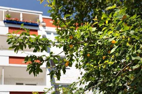 Halle (Saale) Wohnungen, Halle (Saale) Wohnung mieten