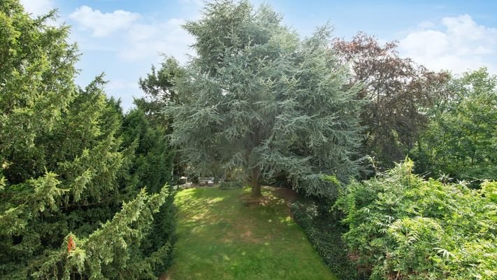 Blick vom Balkon in den Garten