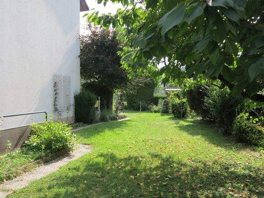 Blick in den Garten