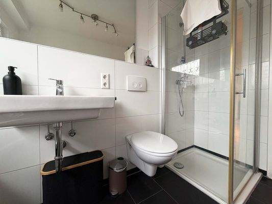 EG Badezimmer: Die Duschkabine und der Waschtisch modern und gut organisiert