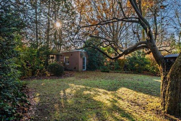 Grünfläche im Garten