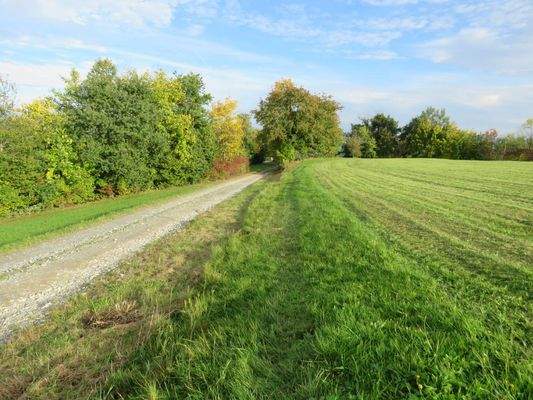 weitere Zufahrt über geschotterten Weg 