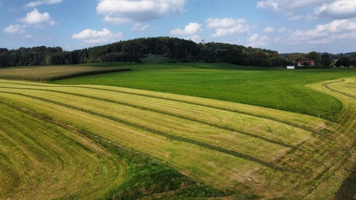 Blick zum Aussichtsturm.jpg