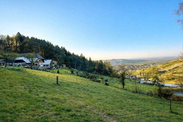 Hofstelle trohnt über dem Achertal