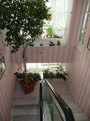 Bild 34 Exkl. Lederhandlauf vom Mittelstück 