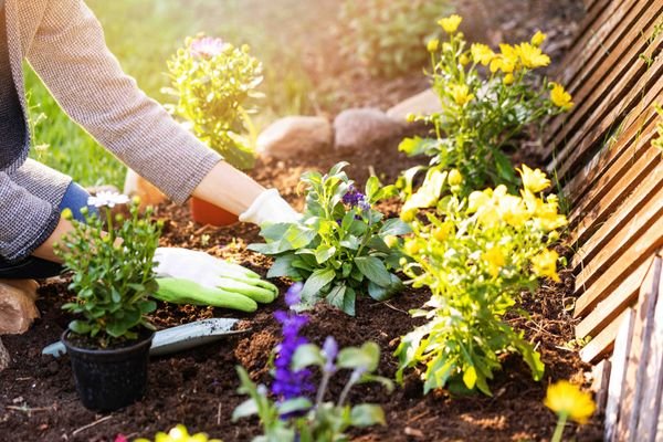 Tolle Gartenwohnung!