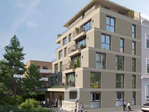 Graz Halle, Graz Hallenfläche