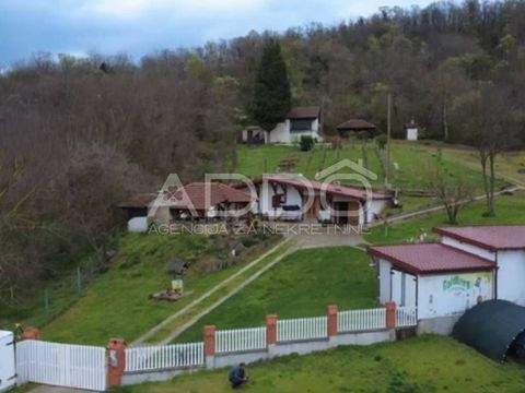 Popovac Bauernhöfe, Landwirtschaft, Popovac Forstwirtschaft