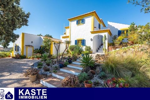 Pincho Häuser, Pincho Haus kaufen