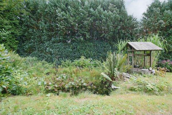 Neben der Terrasse finden Sie ein kleines Biotop