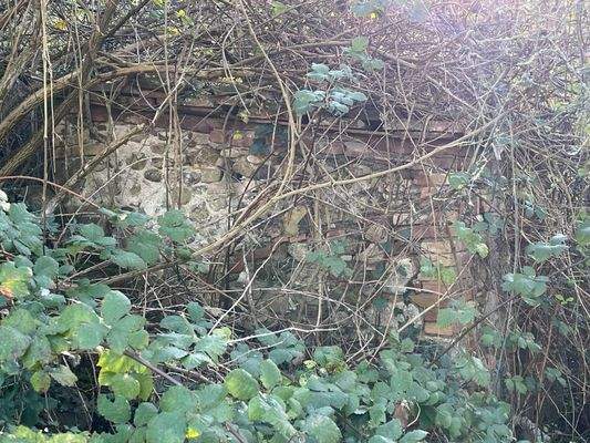 Ruine zum Wiederaufbau