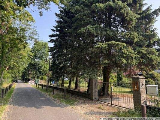 Wohngebietsstraße - rechts befindet sich das Grundstück
