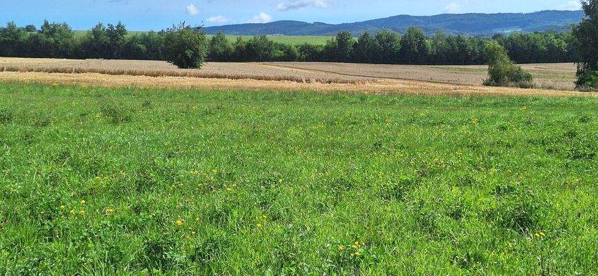 Natur pur in der Nachbarschaft