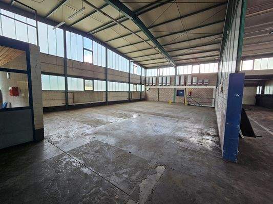 Nebenfläche der Halle.jpg