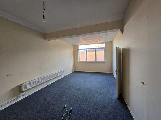 20250221_141310_resized