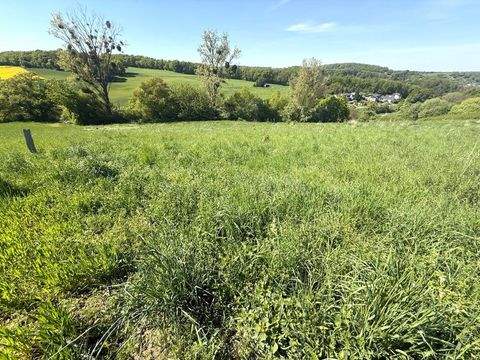 Kreuzau Bauernhöfe, Landwirtschaft, Kreuzau Forstwirtschaft