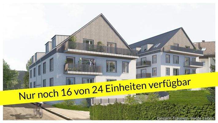 Titelbild Banner