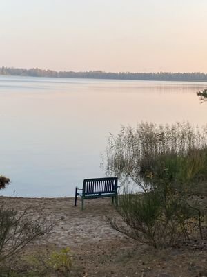 IMG_3069.jpg