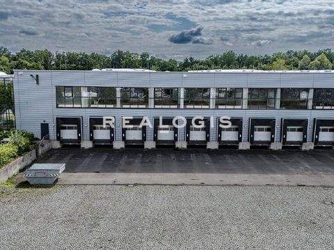 Ahrensfelde Halle, Ahrensfelde Hallenfläche