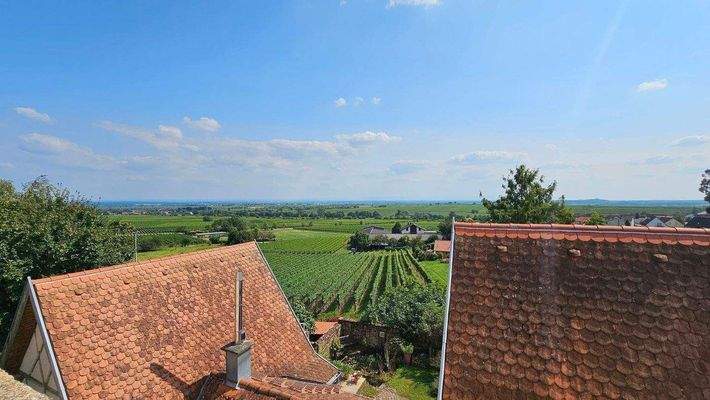 Blick in Rheinebene (1).jpg