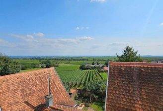 Blick in Rheinebene (1).jpg