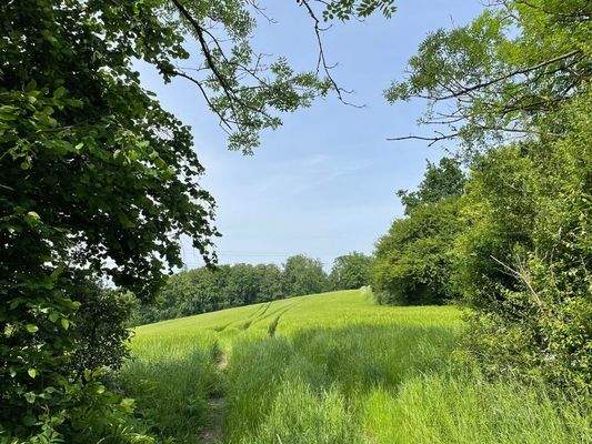 Für Naturliebhabende