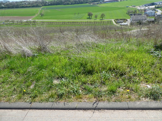 baugrundstück_kaufen_wincheringen_a21564 (5)