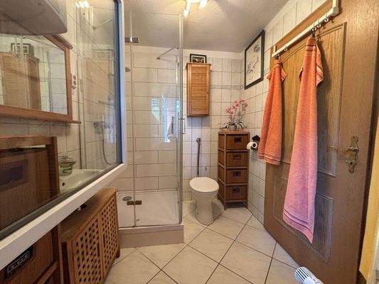 Tageslichtbad mit Dusche