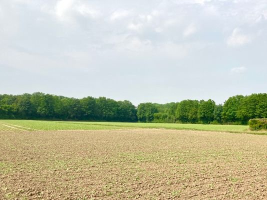 Aussicht Feldblick