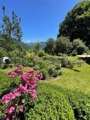 Teilansicht Garten ...