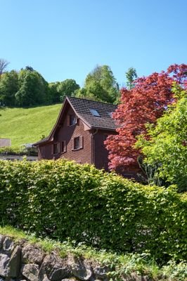MD-Raetschkachl-28.jpg