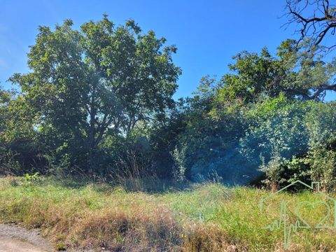 Oberpullendorf Grundstücke, Oberpullendorf Grundstück kaufen